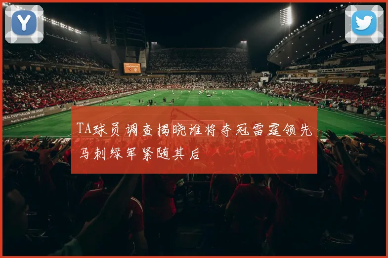 TA球员调查揭晓谁将夺冠雷霆领先马刺绿军紧随其后
