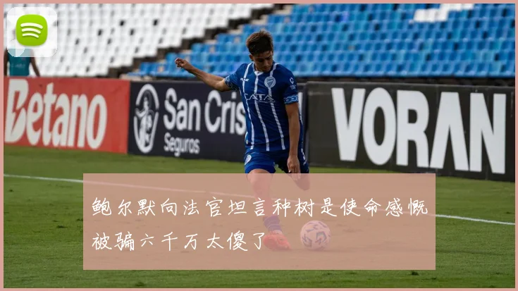 鲍尔默向法官坦言种树是使命感慨被骗六千万太傻了